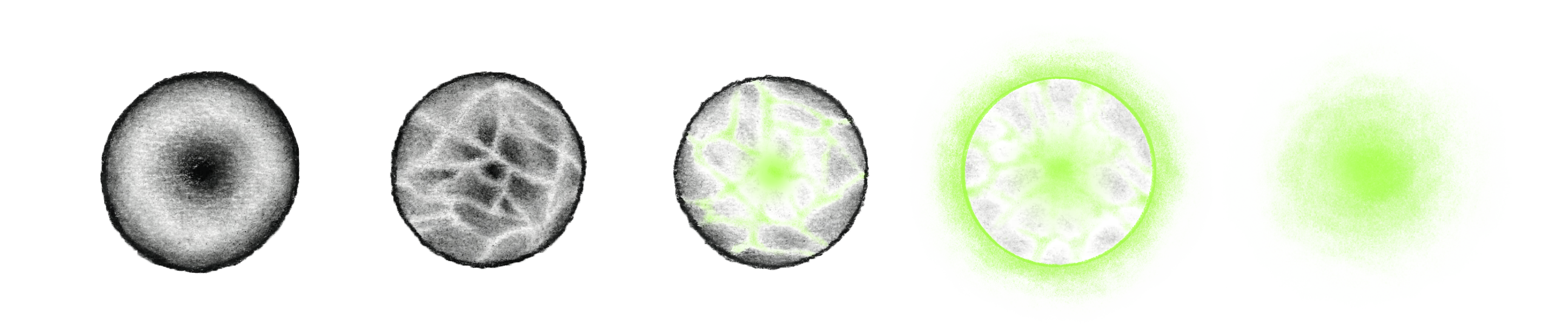 Charcoal light sequence illustration