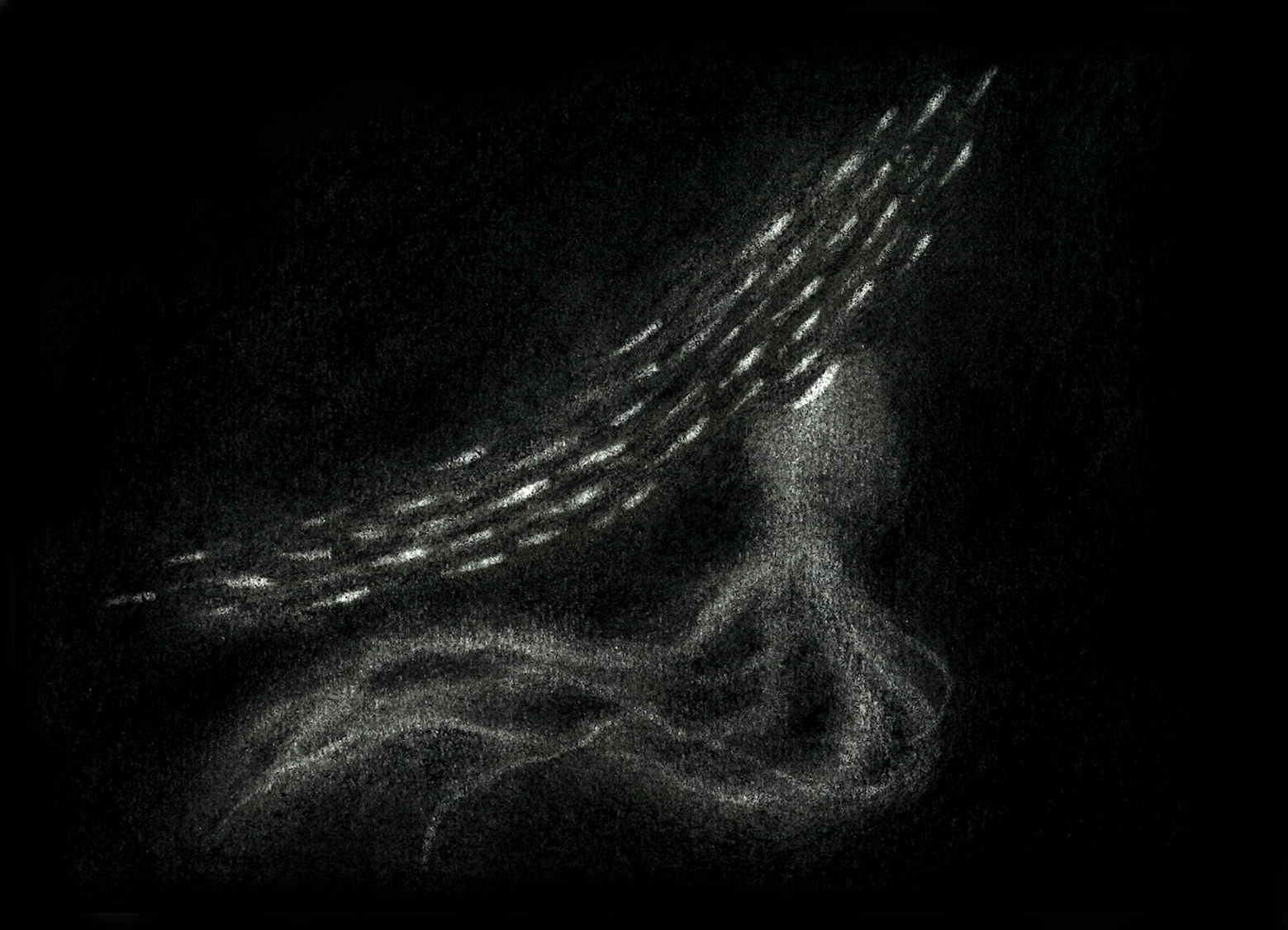 Mimicry illustration