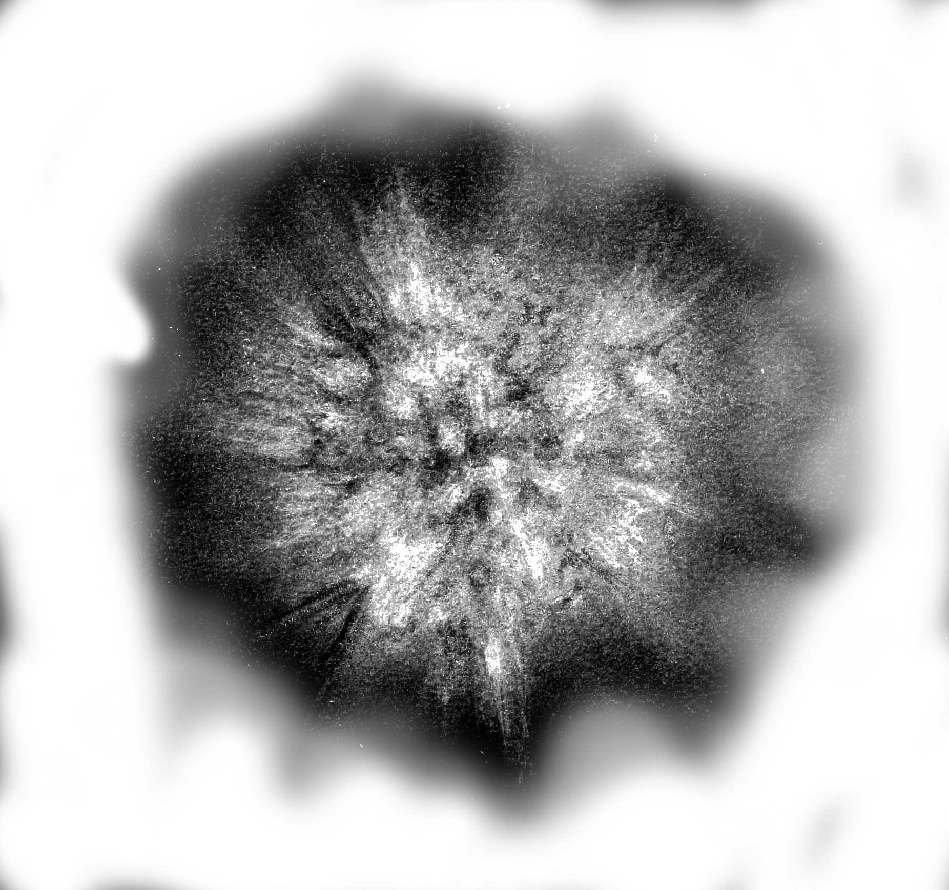 Surface