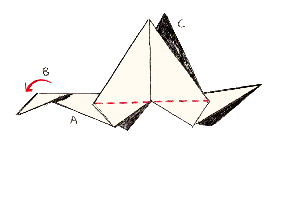 Crane bird