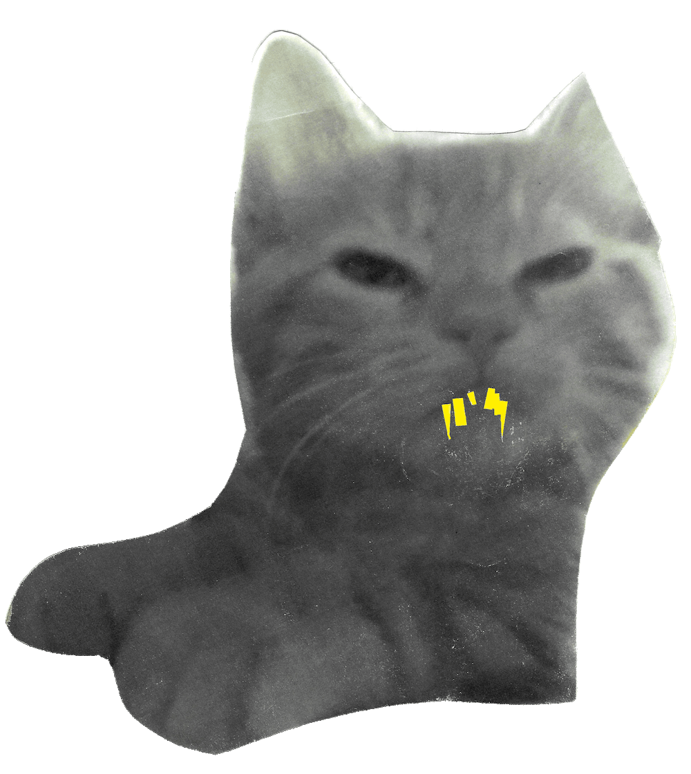 fotokat