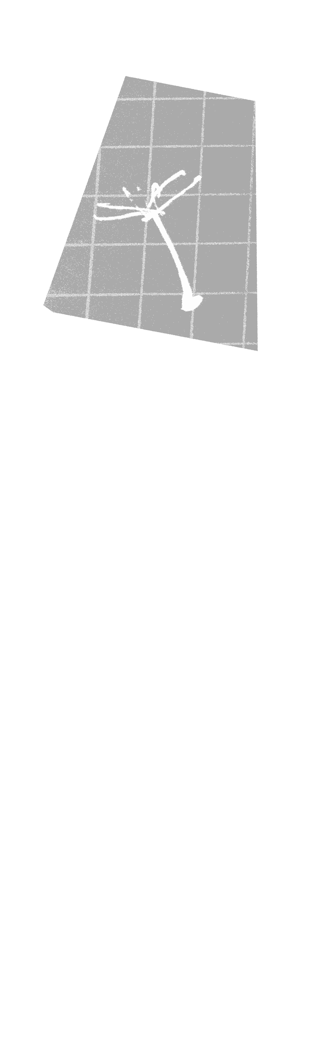 zaadje